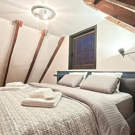 Heart Of Cozy Loft With Fireplace * ティラナ