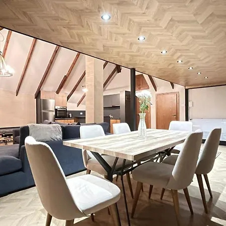 Heart Of Cozy Loft With Fireplace Apartment