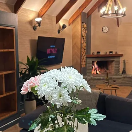 Heart Of Cozy Loft With Fireplace 티라나