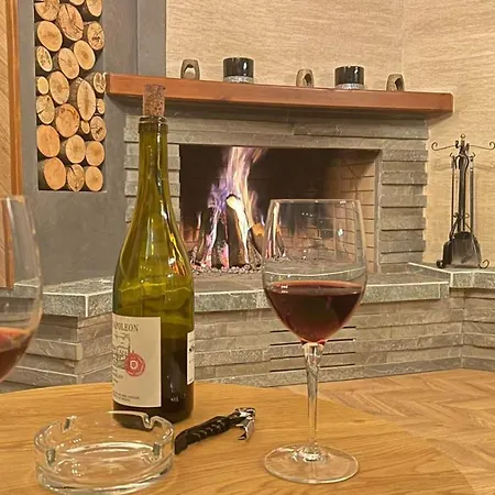 Heart Of Cozy Loft With Fireplace Appartement *